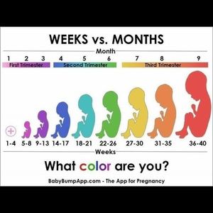 Meet your Posher, Marianna